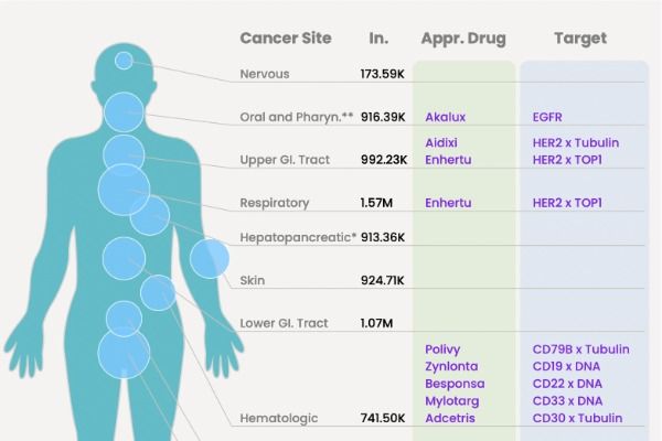 Compilation of 13 FDA-Approved ADC (Antibody-Drug Conjugate) Medications