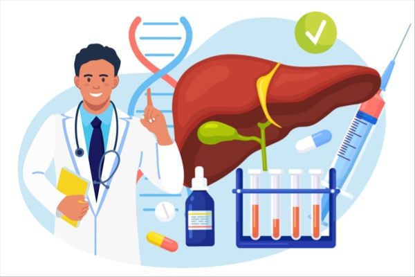 New HBV-targeted TCR T Cell Therapy (SCG101) Shows Improved Survival in Liver Cancer: EASL Conclusion