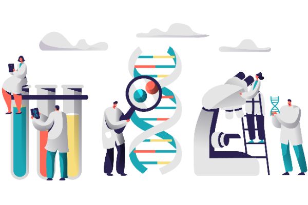 Understanding the Development Progress of JAK2 Inhibitor