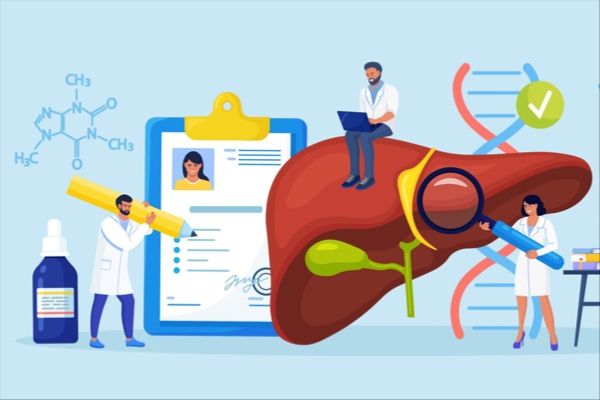 A New Combo for Synergistically Improving Liver Homeostasis! Promising Benefits for Obesity and Metabolic Complications Treatment