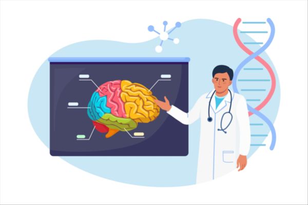 Allyx Therapeutics' primary compound, ALX-001, demonstrates safety and toleration through dosage testing and successfully engages with the brains of healthy seniors