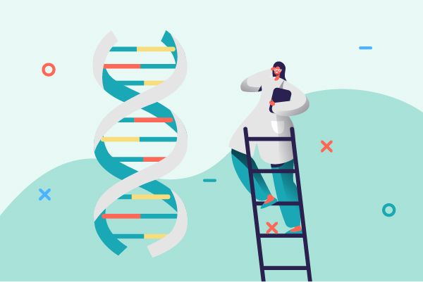 Deep Scientific Insights on Metolazone's R&D Progress, Mechanism of Action