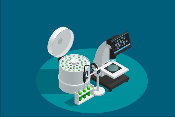 An In-depth Analysis of Tioconazole's R&D Progress and Mechanism of Action on Drug Target