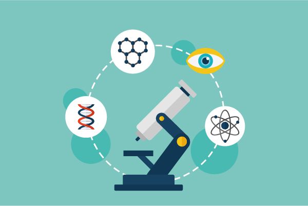 Analysis on the Clinical Research Progress of Androgen Receptor Inhibitor