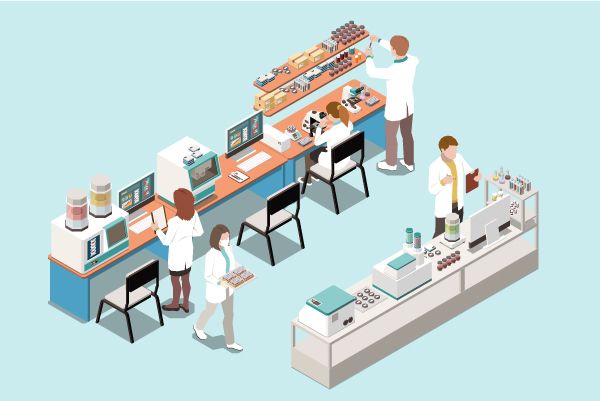 How to find the core components of Disitamab Vedotin?