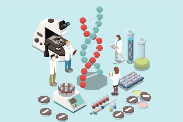 Development of CCR8 Antibodies as a Hot Target for Immuno-Oncology Therapy in Solid Tumors