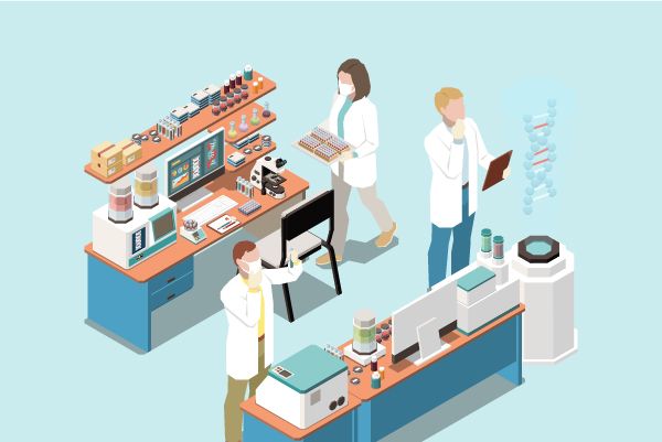 How to find the chemical modification of Vutrisiran Sodium?