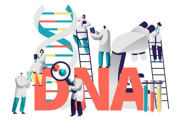 Decoding Lanadelumab: A Comprehensive Study of its R&D Trends and Mechanism on Drug Target