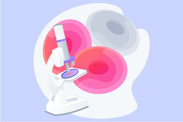 How to collect blood samples in clinical trials?