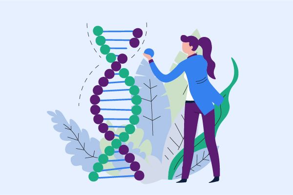 How to find the structure and classification of Retifanlimab?