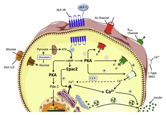 Figure 5