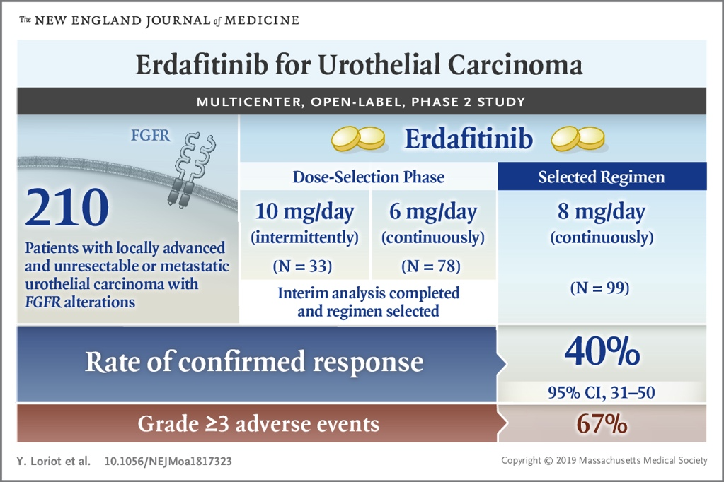 Visual Abstract for 'Erdafitinib in Locally Advanced or Metastatic Urothelial Carcinoma,' Y. Loriot and Others (10.1056/NEJMoa1817323)
